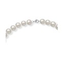 Cultured Freshwater Pearl (9-10mm) 18