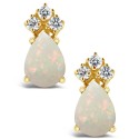 Diamond (1/8 ct) Stud Earrings in 14K Yellow Gold or 14K White Gold